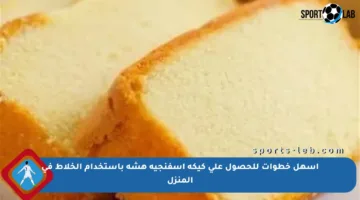 أسهل خطوات للحصول على كيكة إسفنجية هشة باستخدام الخلاط في المنزل